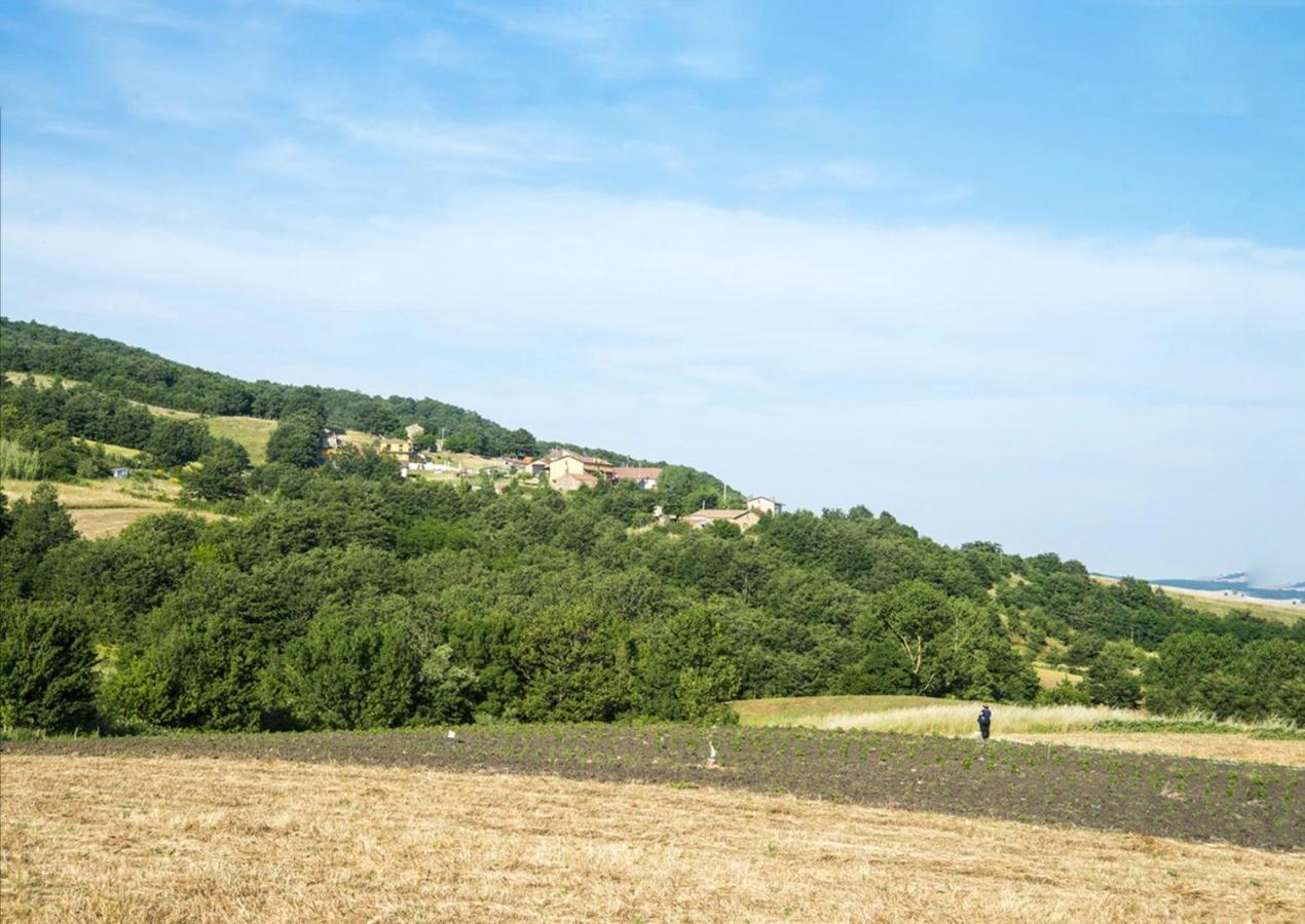 Le Pitture Casa Di Campagna Filiano エクステリア 写真
