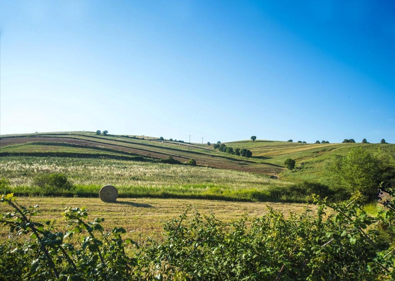 Le Pitture Casa Di Campagna Filiano エクステリア 写真