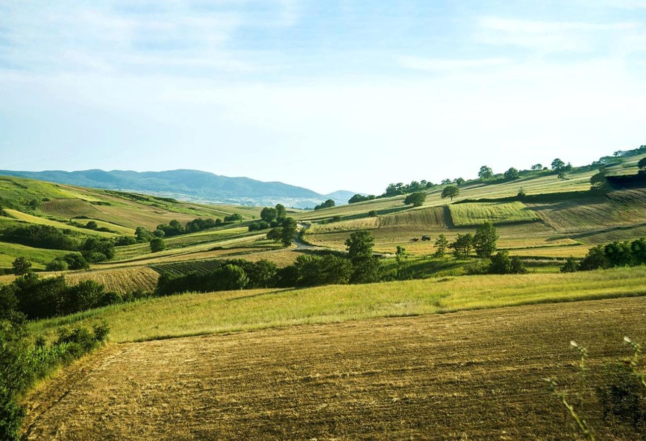 Le Pitture Casa Di Campagna Filiano エクステリア 写真